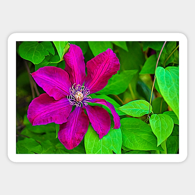 Brilliant Clematis Sticker by mariakeady